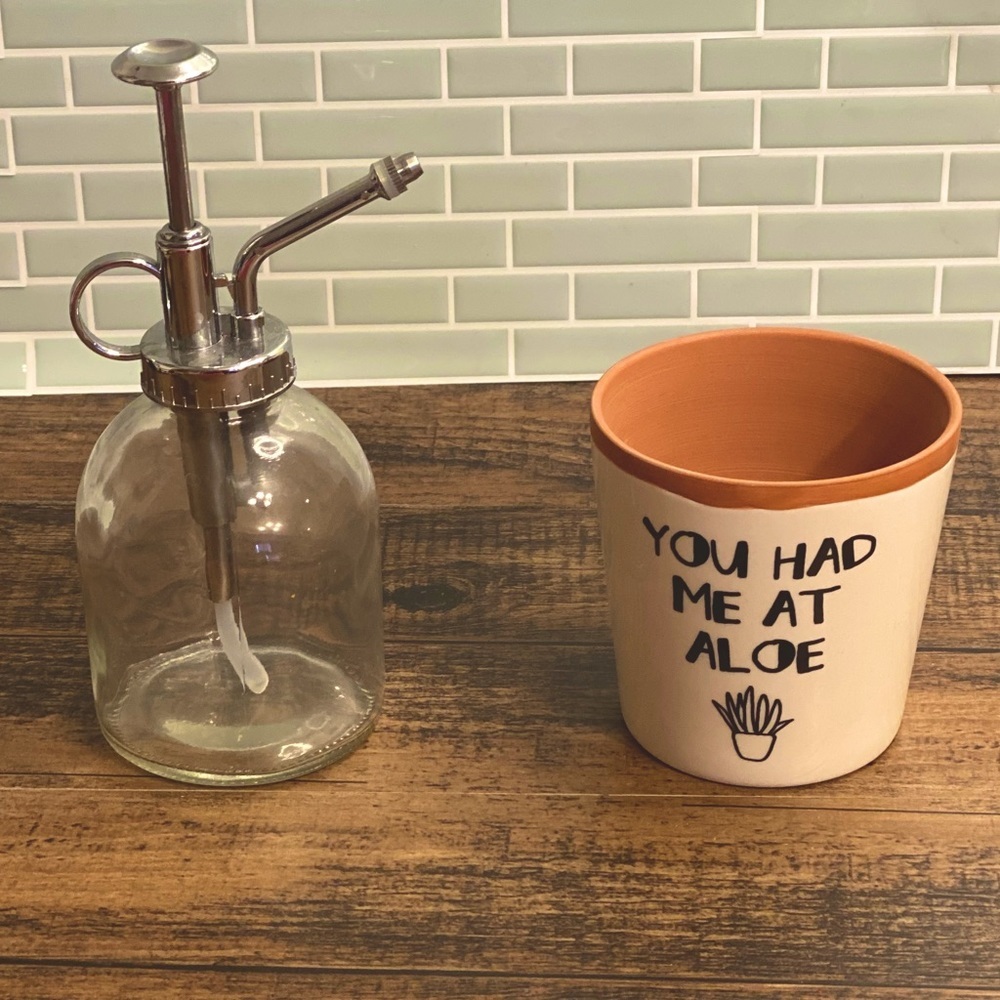 Gardener’s bundle! Glass mister and cute aloe planter! Both new, never used!